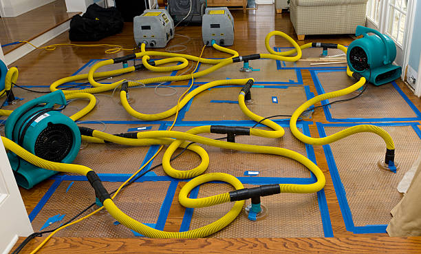 Professional Basement Flood Cleanup technician working in Robertsville, MO